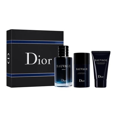 kit christian dior homme